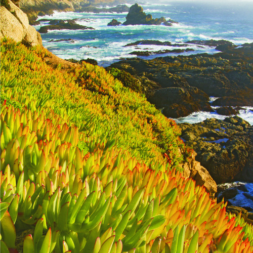 16 %282500x1800%29